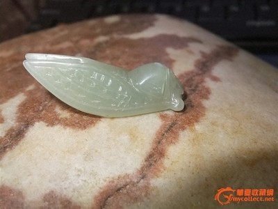 正品昆侖玉玉蟬_正品昆侖玉玉蟬價(jià)格_正品昆侖玉玉蟬圖片_來自藏友mch791219_玉器_地?cái)偨灰譥華夏收藏網(wǎng) cang.com